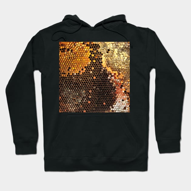 Honeycomb with pollen Hoodie by WesternExposure